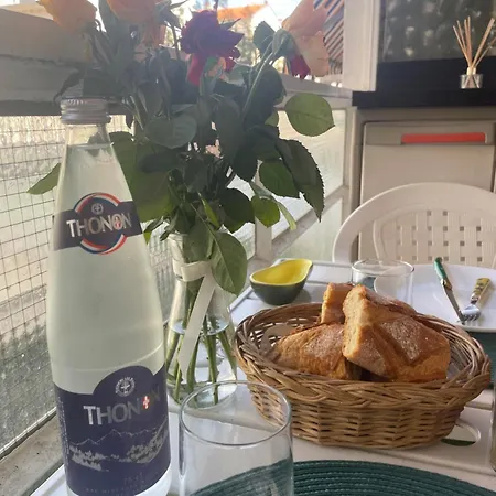 With Terrace & Rooftop Pool In Promenade Des