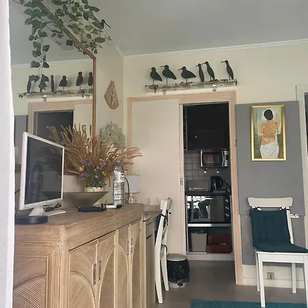 招待所 With Terrace & Rooftop Pool In Promenade Des 尼斯